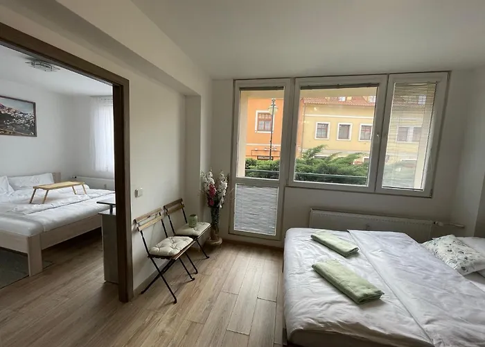 Διαμέρισμα Beroun Apartments *